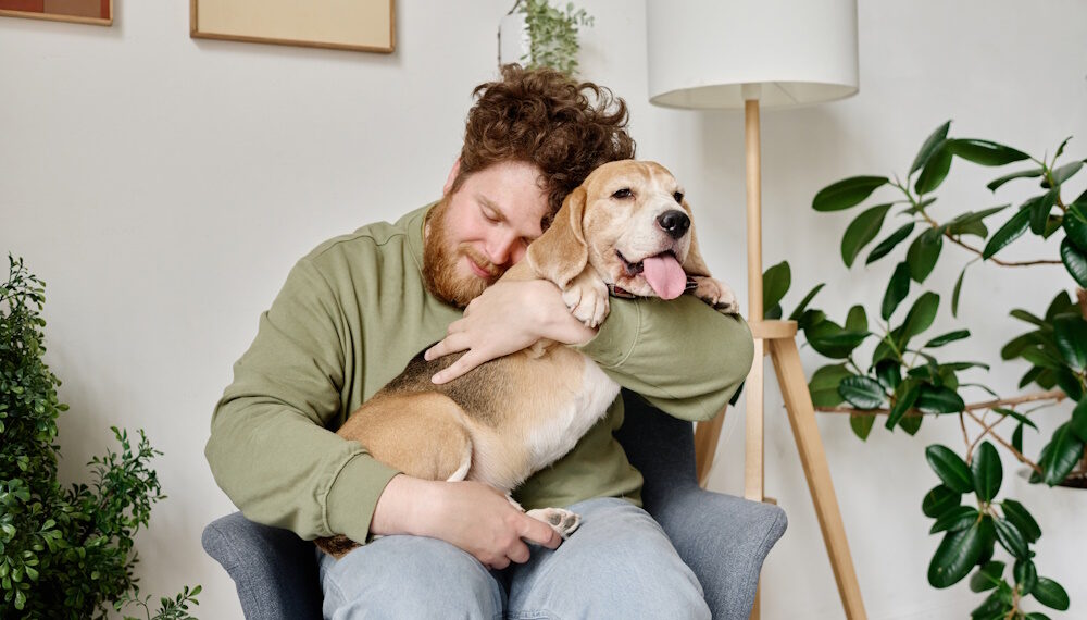 The Essential Guide to Emotional Support Animal Registration